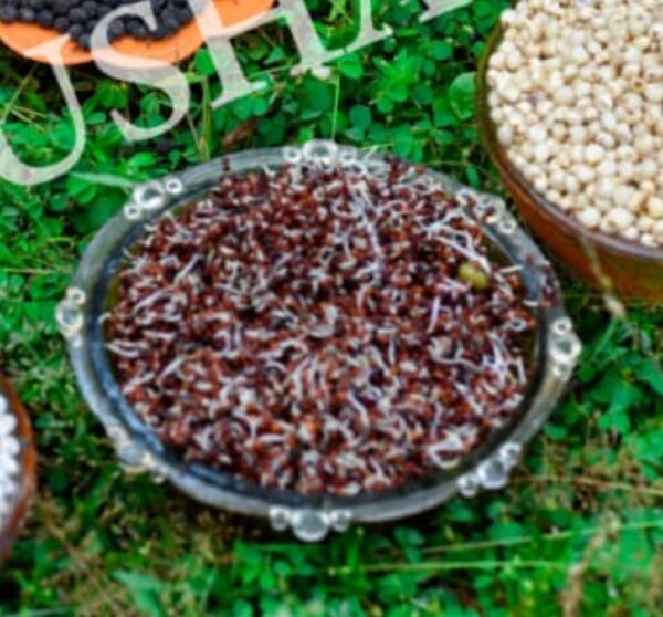Ragi rich (Finger Millet) Baby Powder