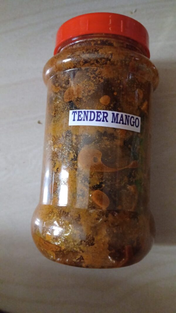 Tender mango(mangai)